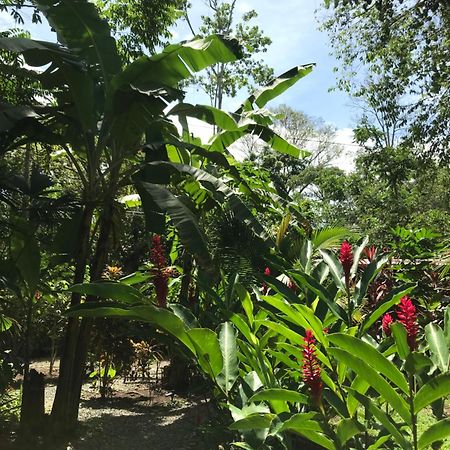 Little Yemanja Bungalow Villa Puerto Viejo de Talamanca Luaran gambar