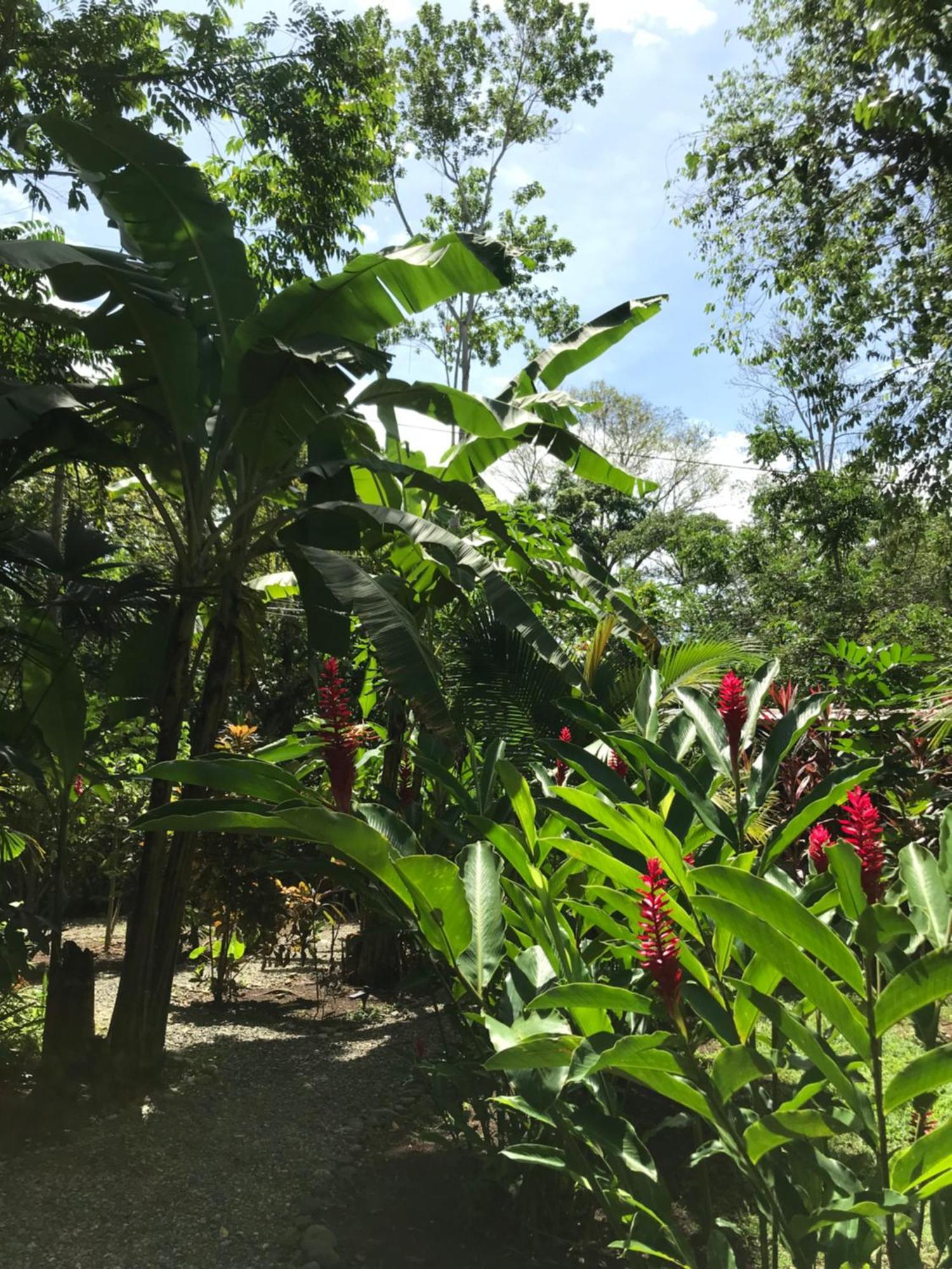 Little Yemanja Bungalow Villa Puerto Viejo de Talamanca Luaran gambar